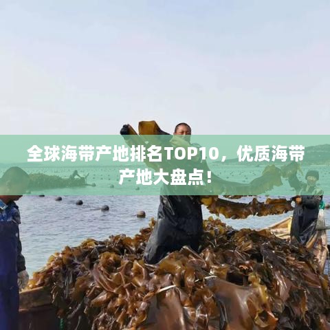 全球海帶產(chǎn)地排名TOP10，優(yōu)質(zhì)海帶產(chǎn)地大盤點(diǎn)！