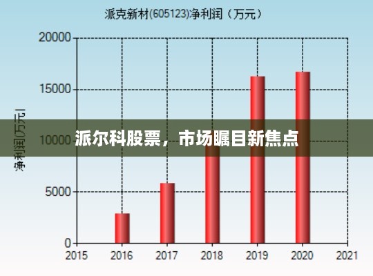 派爾科股票，市場矚目新焦點