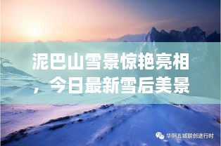 泥巴山雪景驚艷亮相，今日最新雪后美景報道！