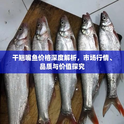 干翹嘴魚價格深度解析，市場行情、品質(zhì)與價值探究