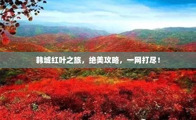 韓城紅葉之旅，絕美攻略，一網(wǎng)打盡！