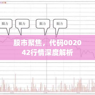 股市聚焦，代碼002042行情深度解析