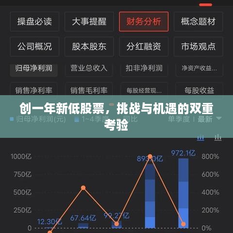 創(chuàng)一年新低股票，挑戰(zhàn)與機遇的雙重考驗