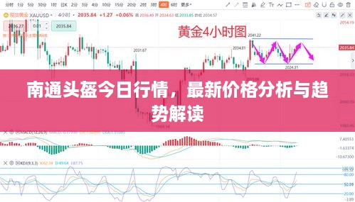 南通頭盔今日行情，最新價(jià)格分析與趨勢(shì)解讀