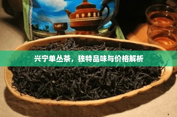 興寧單叢茶，獨特品味與價格解析