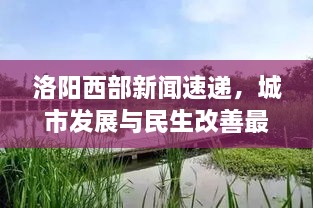 洛陽西部新聞速遞，城市發(fā)展與民生改善最新動態(tài)報道