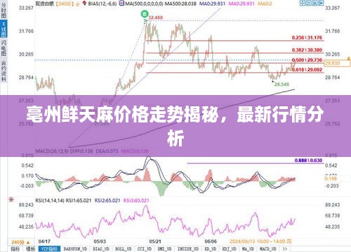 亳州鮮天麻價格走勢揭秘，最新行情分析