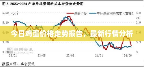 今日雞蛋價(jià)格走勢報(bào)告，最新行情分析