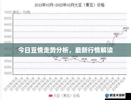 今日豆情走勢分析，最新行情解讀