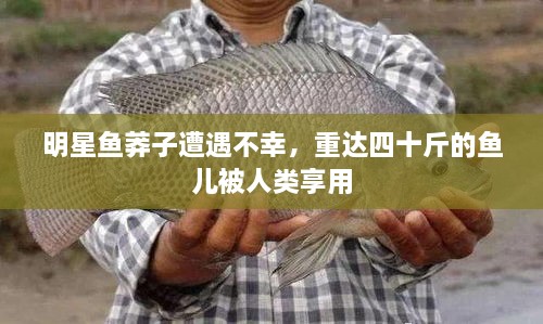 明星魚莽子遭遇不幸，重達(dá)四十斤的魚兒被人類享用